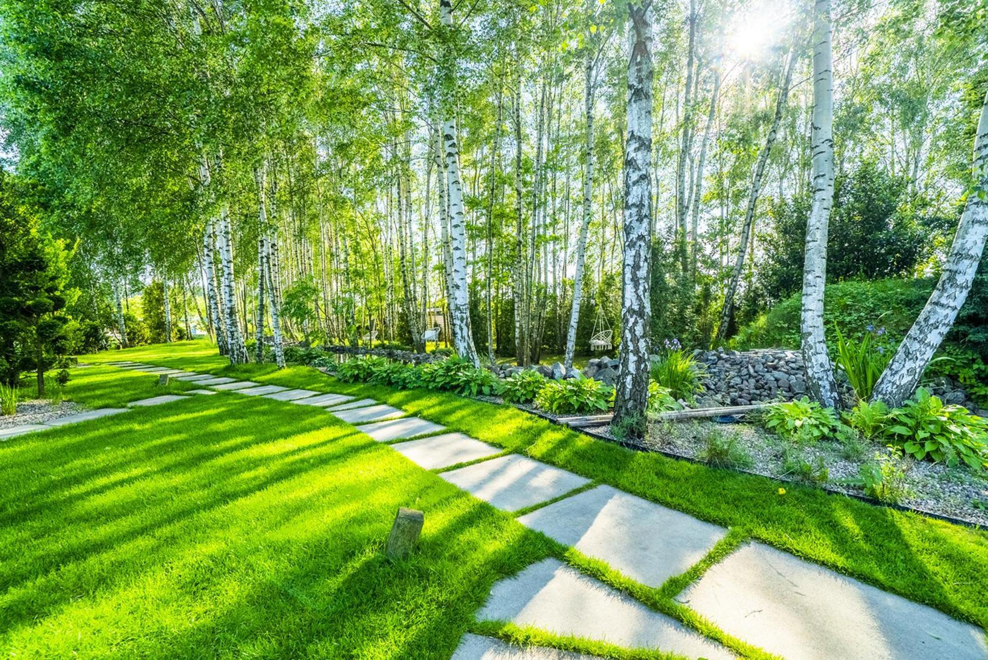 Nowa Dana Osrodek Wypoczynkowy Apartment Lebcz Bagian luar foto